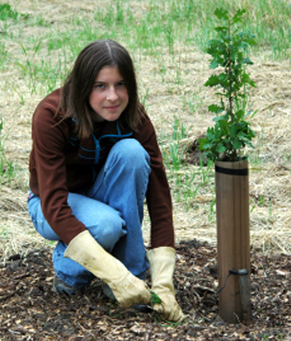 Girl plants tree